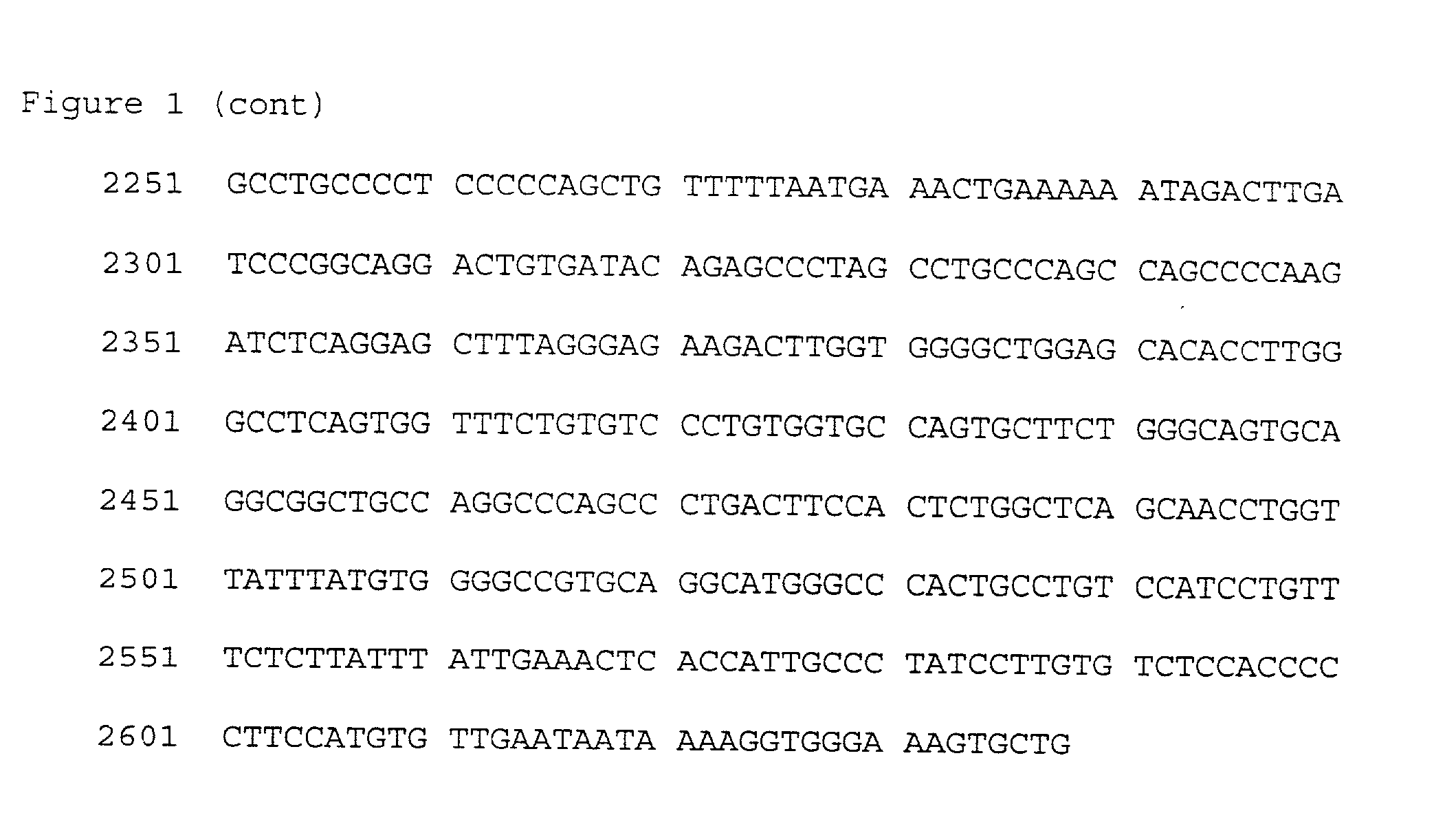 TNFr/OPG-like molecules and uses thereof