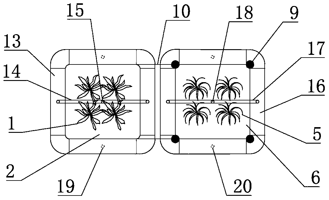 A three-dimensional floating bed-sinking bed combined river water purification device