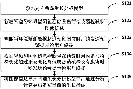 Tomato growth monitoring method and device