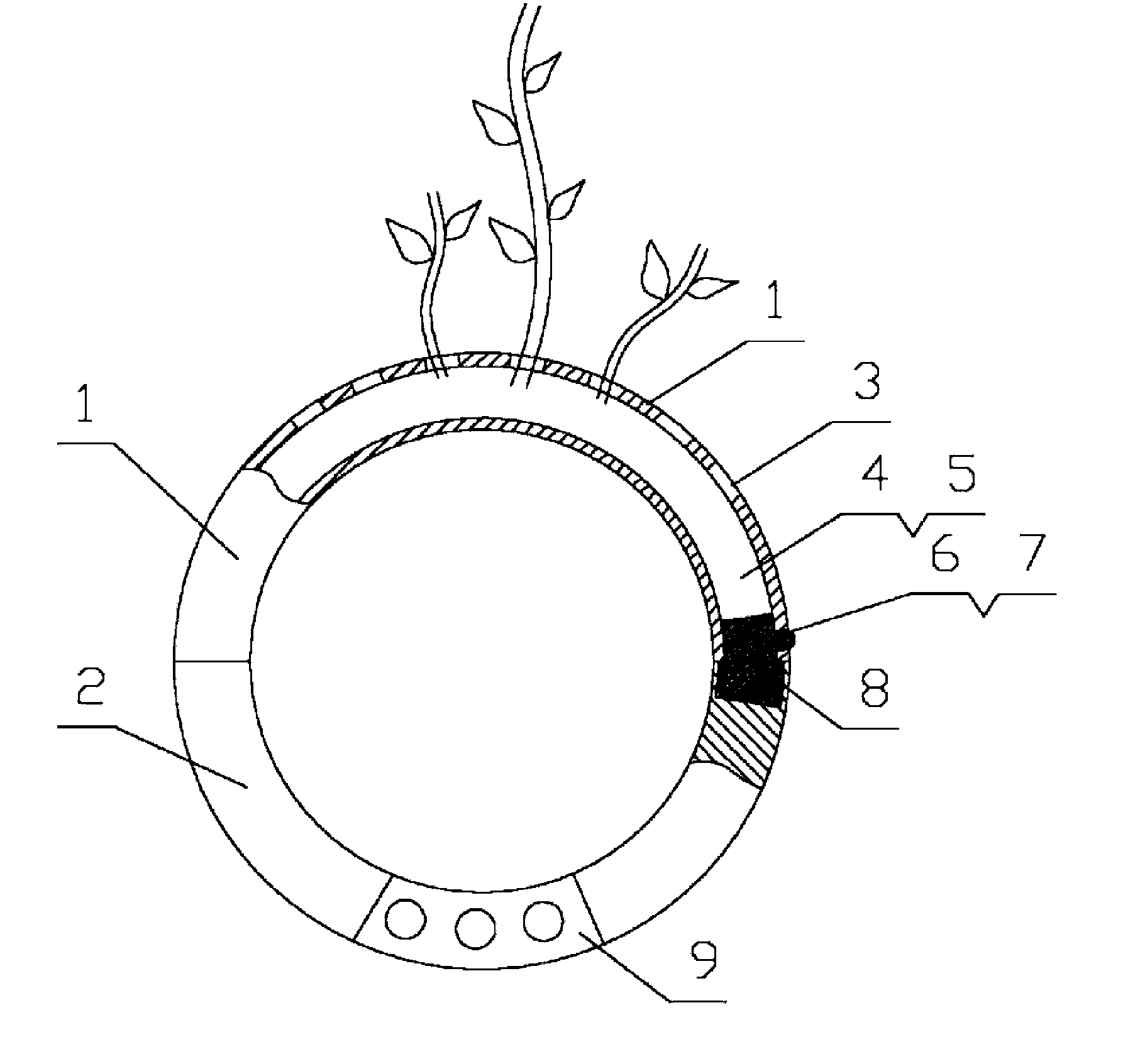 Plant growth ring for slowing water loss in nutrient medium