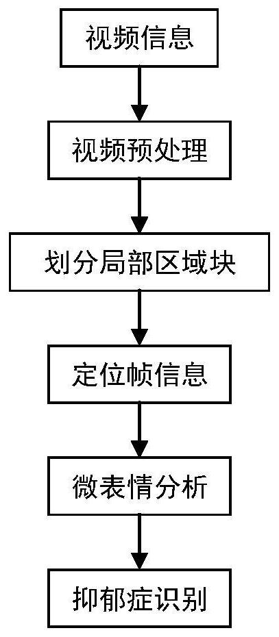 Depression recognition system based on micro-expression analysis