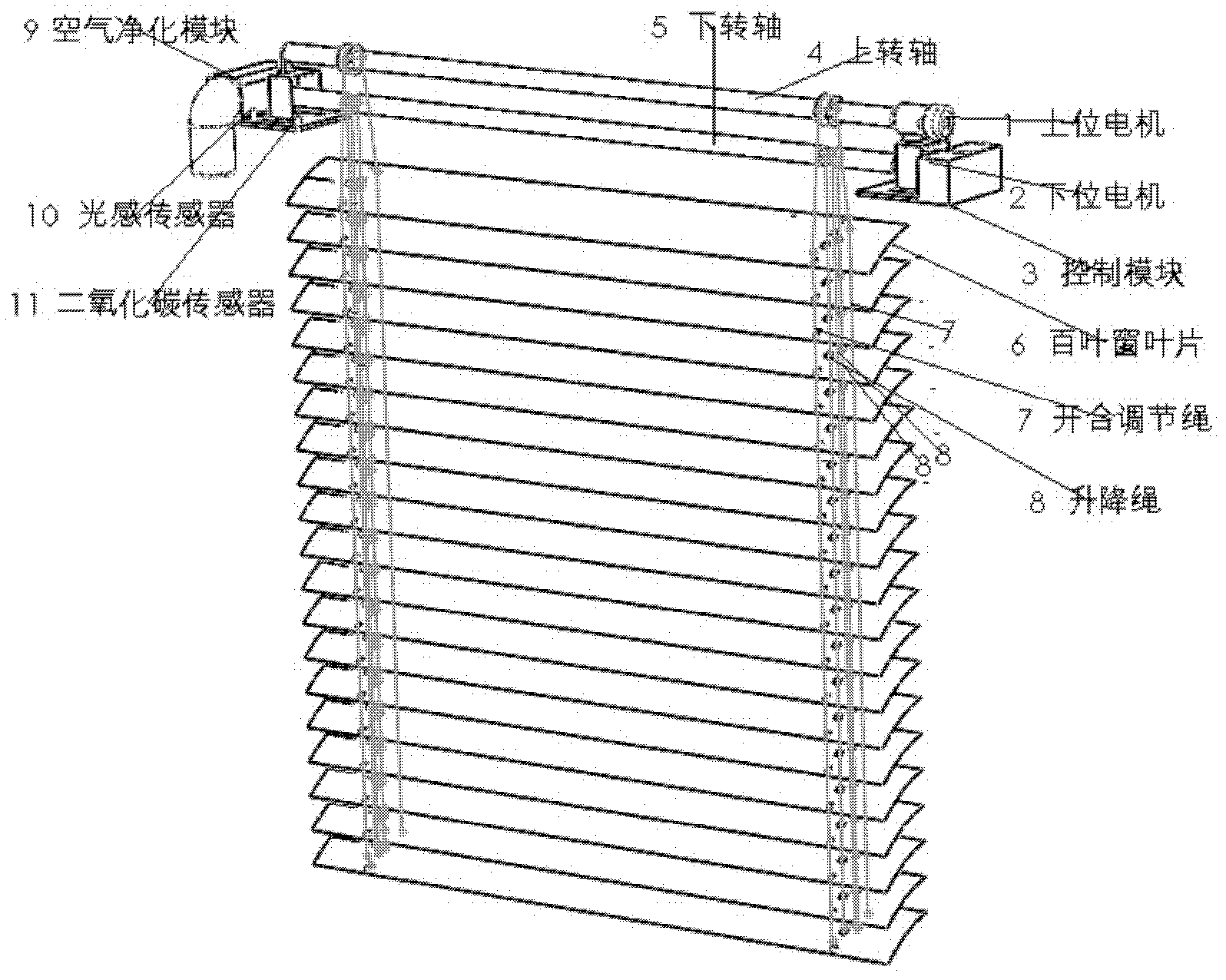 Automatic blind window