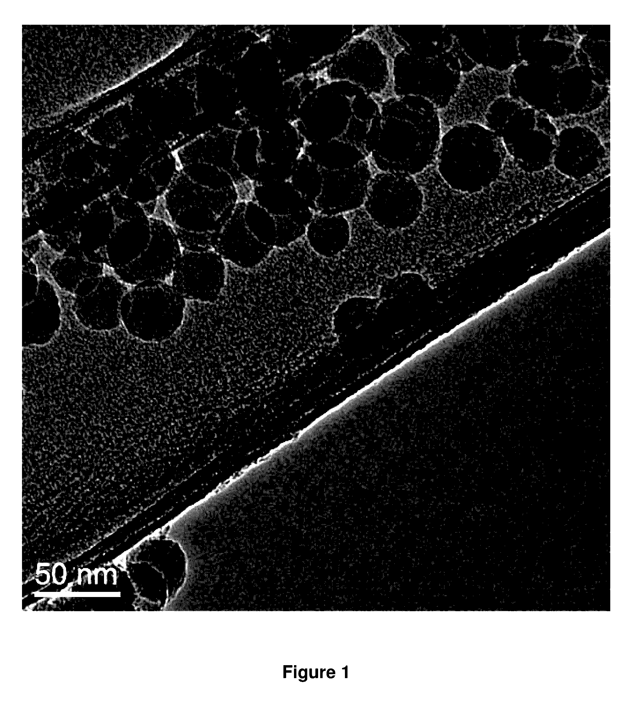 Metal Compound Chemically Anchored Colloidal Particles and Methods of Production and Use Thereof