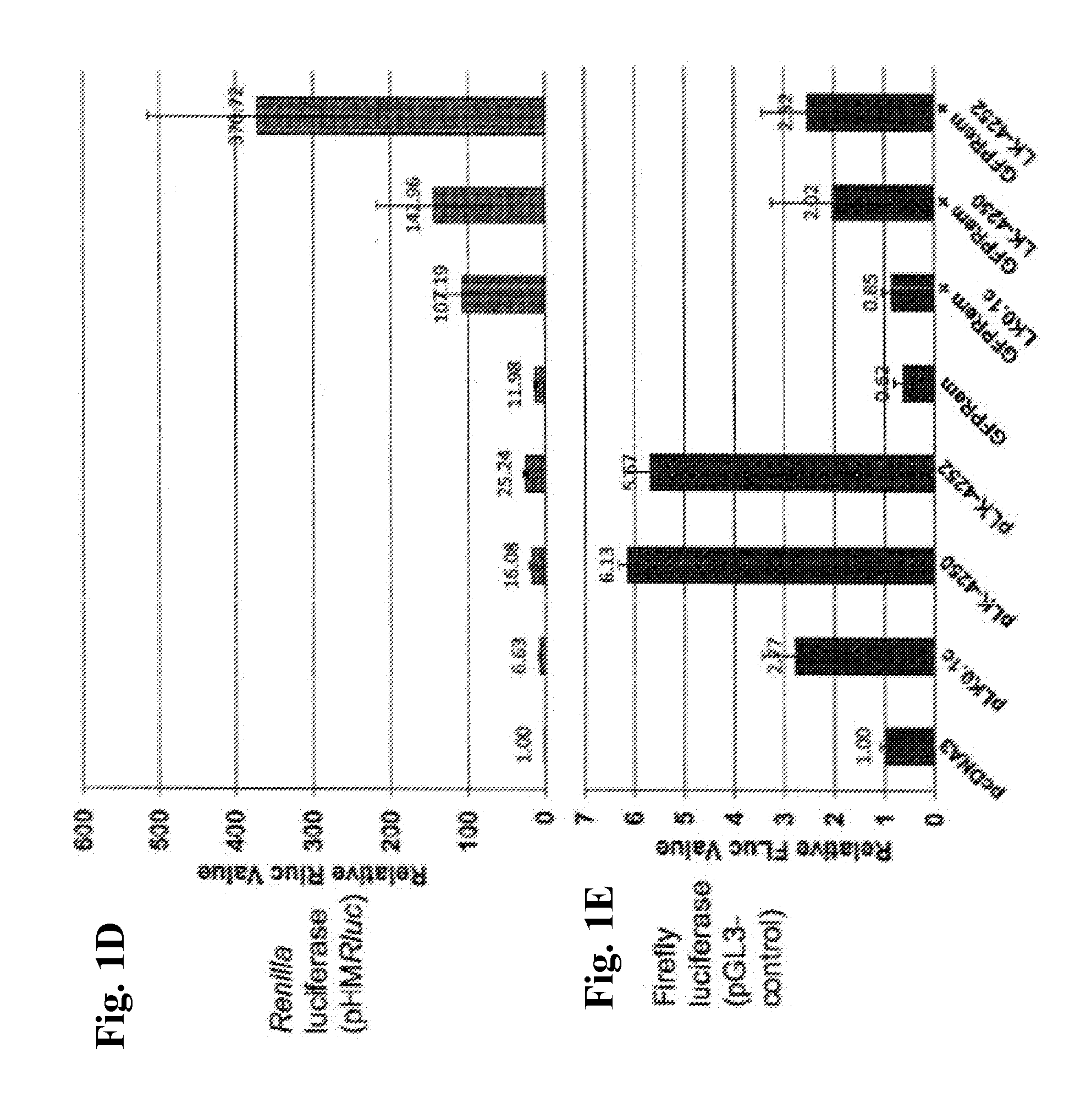 Compositions And Methods To Enhance Protein Expression