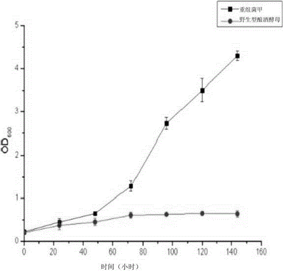 Method for simultaneously transferring multiple genes into microbial genome