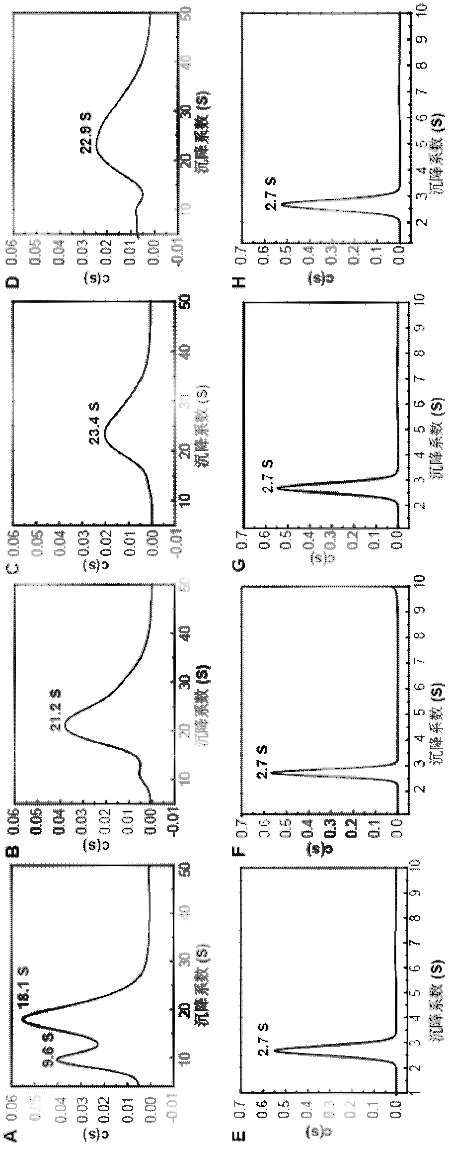 Assembly mechanism of virus-like particle of hepatitis E virus and preparation method thereof