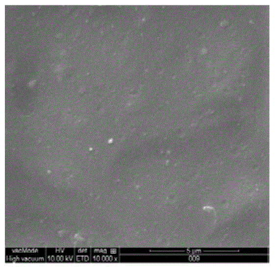 A polylactic acid composite material for promoting bone growth and biocompatibility and its preparation method