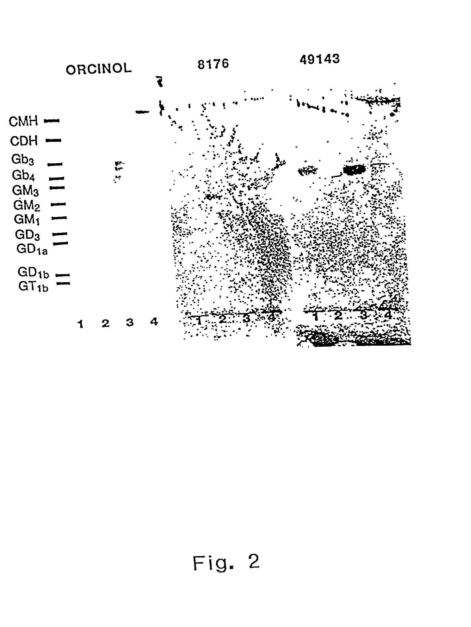 Moraxella catarrahalis outer membrane protein-106 polypeptide, gene sequence and uses thereof