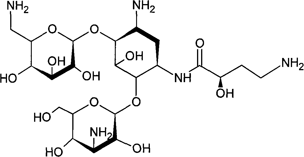 Method for concentrating amikacin desorbed solution using nano filtration technique