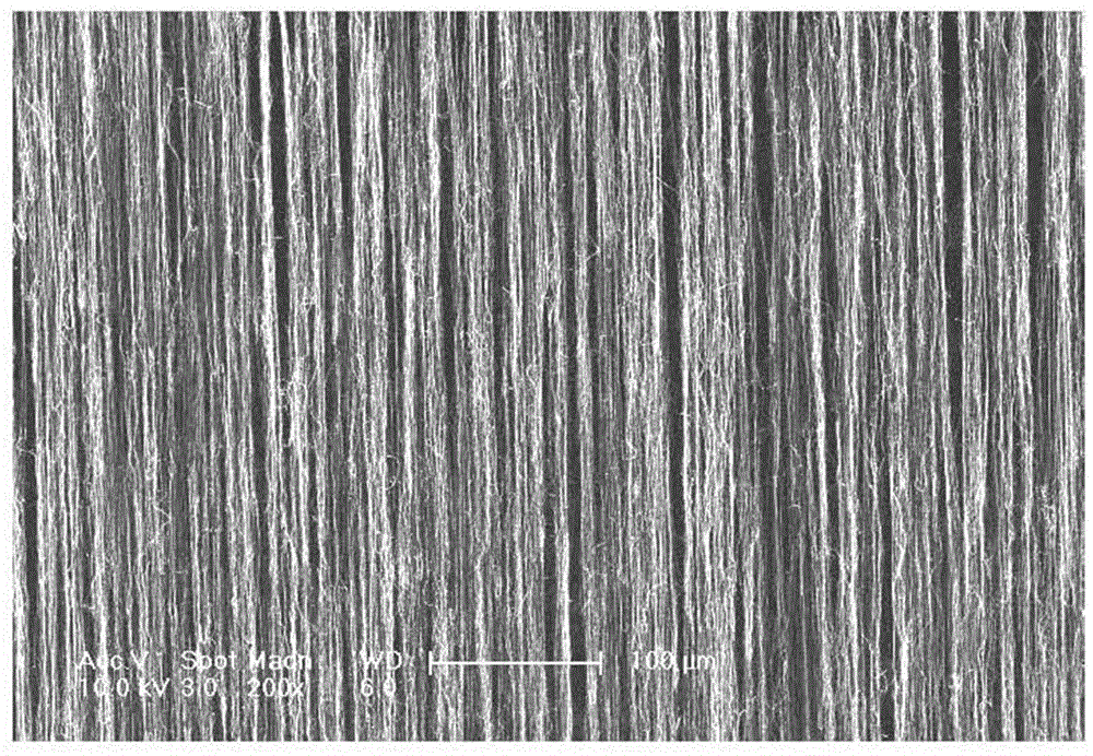 Preparation method of graphene-carbon nano tube composite structure