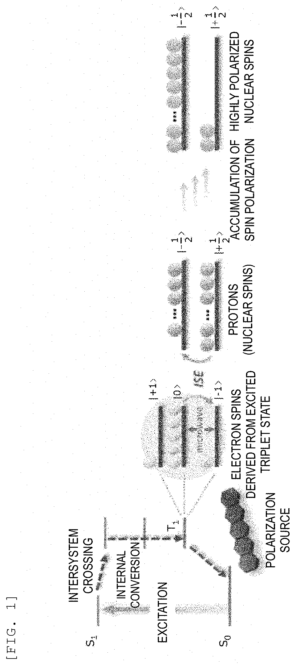 Composition, composition for dynamic nuclear polarization, polarization enhancing method, highly polarized substance, and nmr measurement method