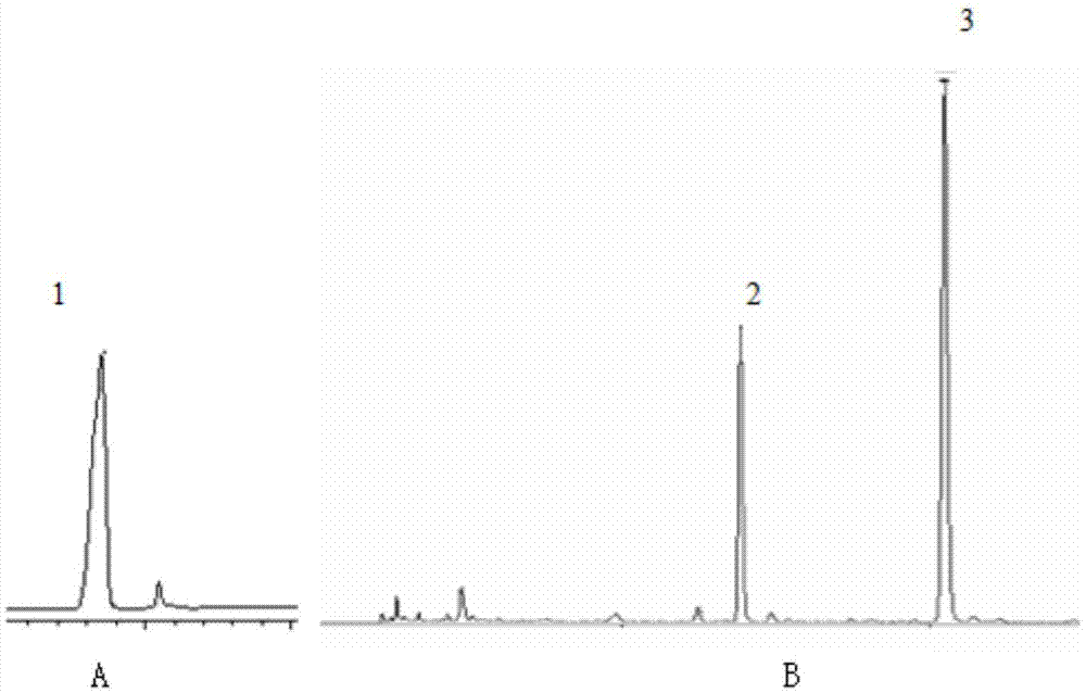 Chitosan-salvia miltiorrhiza injection and preparation method thereof