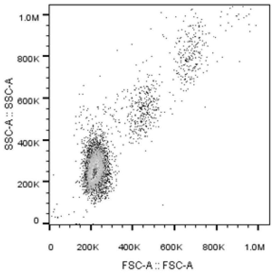 Method for detecting pH value in red blood cells by using autofluorescence of red blood cells