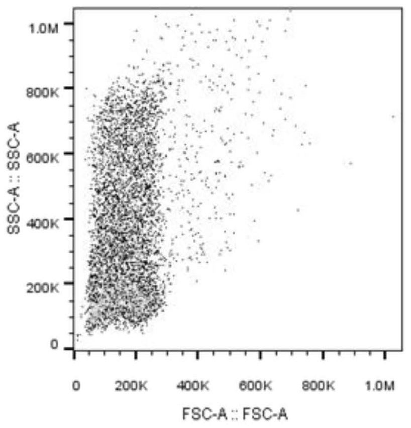 Method for detecting pH value in red blood cells by using autofluorescence of red blood cells