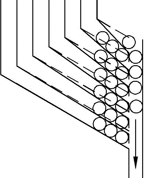 Multi-track pennisetum sinese seeding apparatus and seeding method thereof