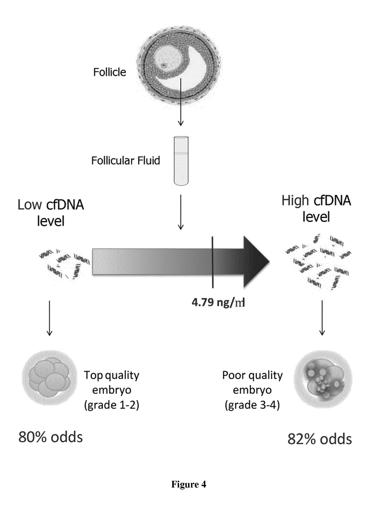 Free nucleic acids and mirna as non-invasive method for determining embryo quality