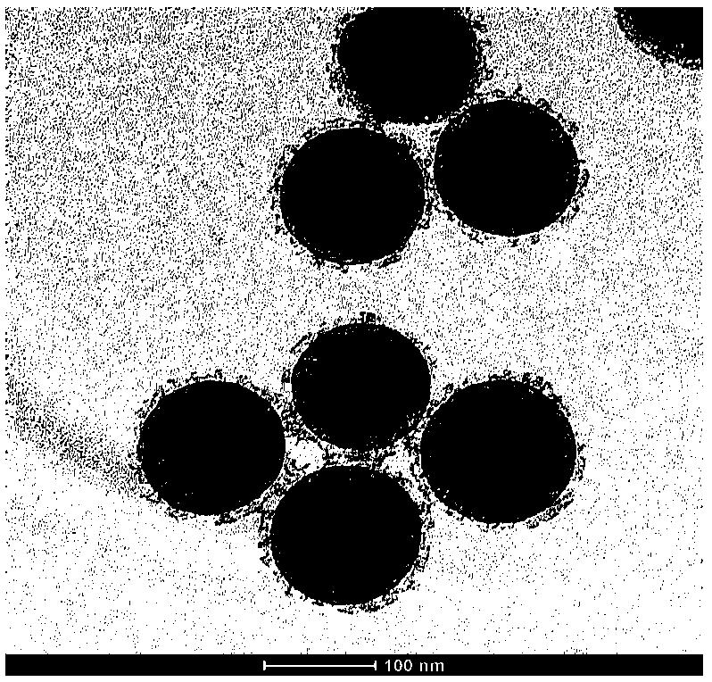 A kind of composite catalyst for treating antibiotic waste water and its preparation method and application