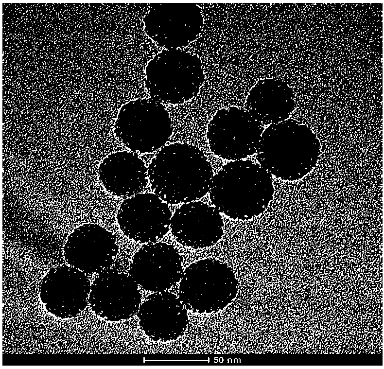 A kind of composite catalyst for treating antibiotic waste water and its preparation method and application