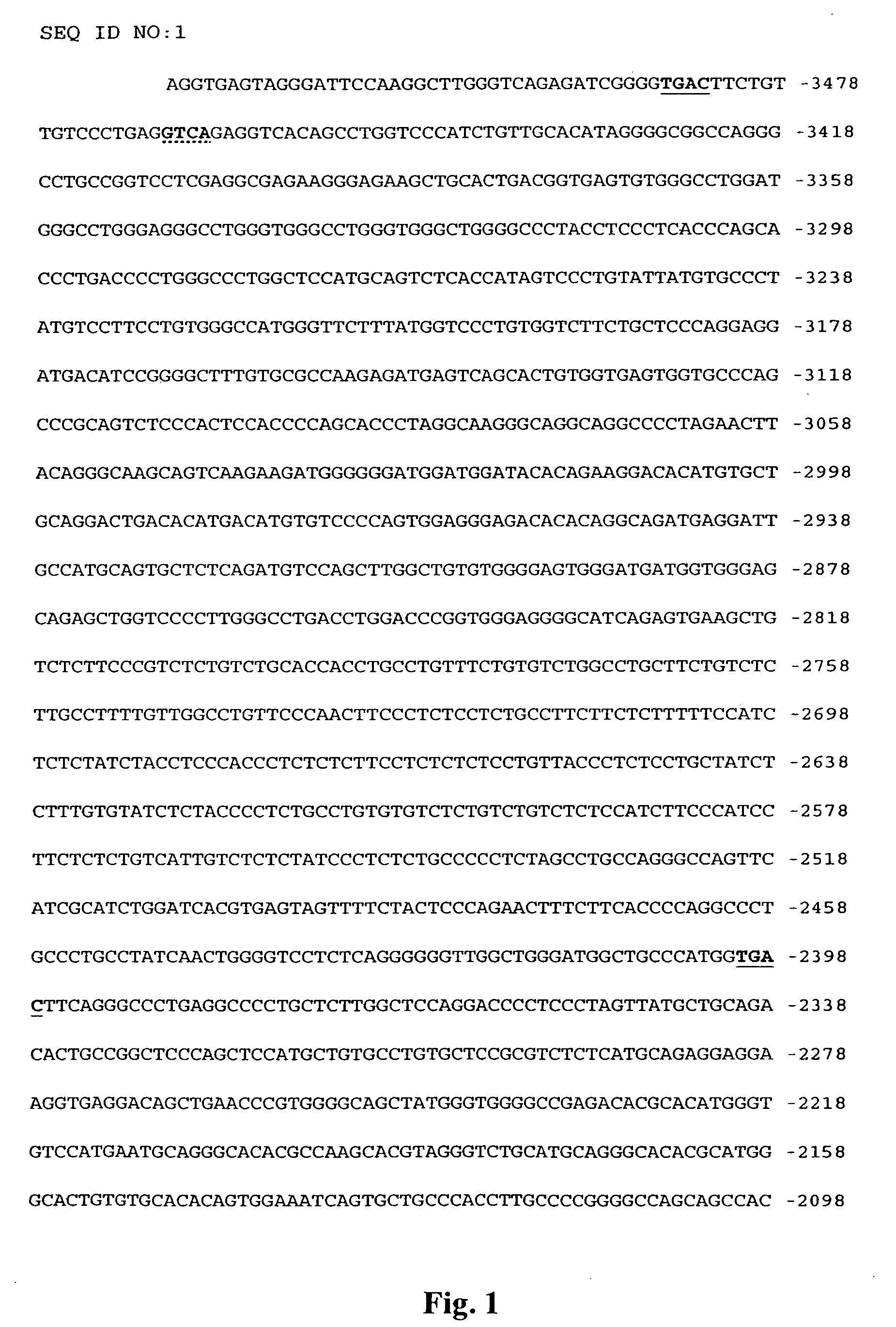 Promoter sequences for urocortin II and the use thereof