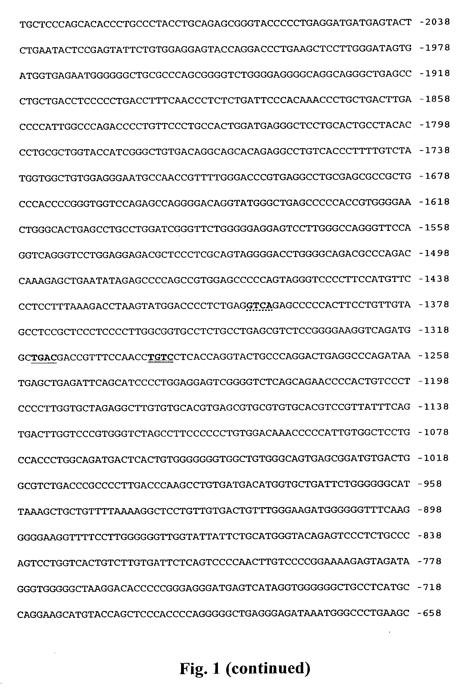 Promoter sequences for urocortin II and the use thereof