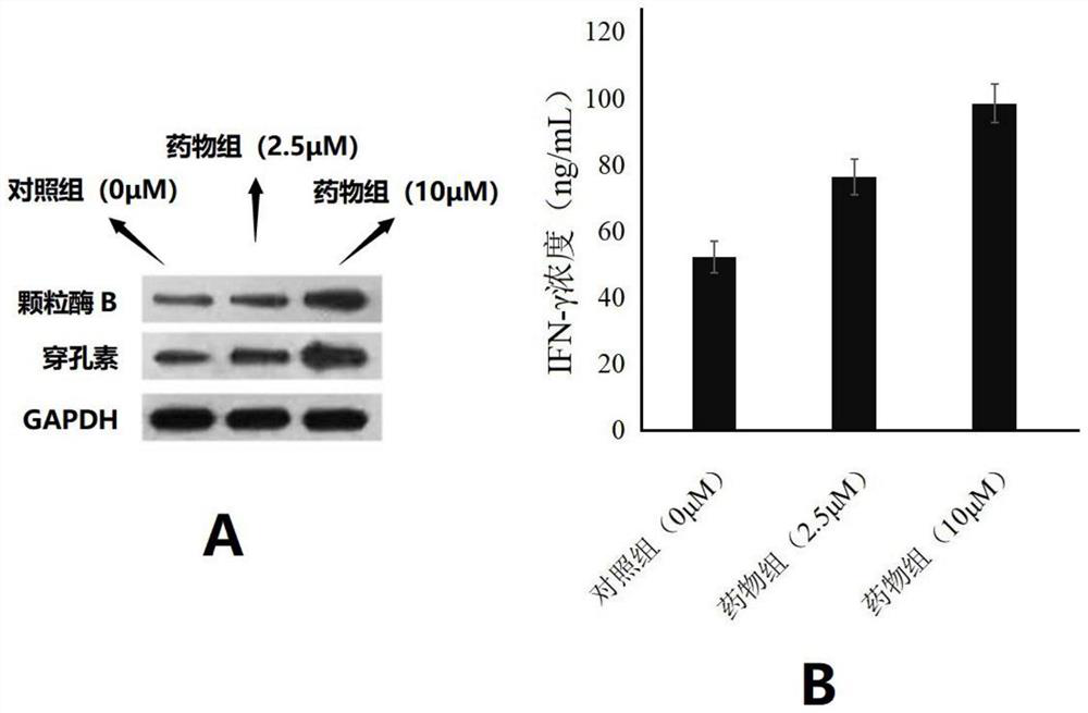 Application of febrifugine B in improving killing power of NK (Natural Killer) cells