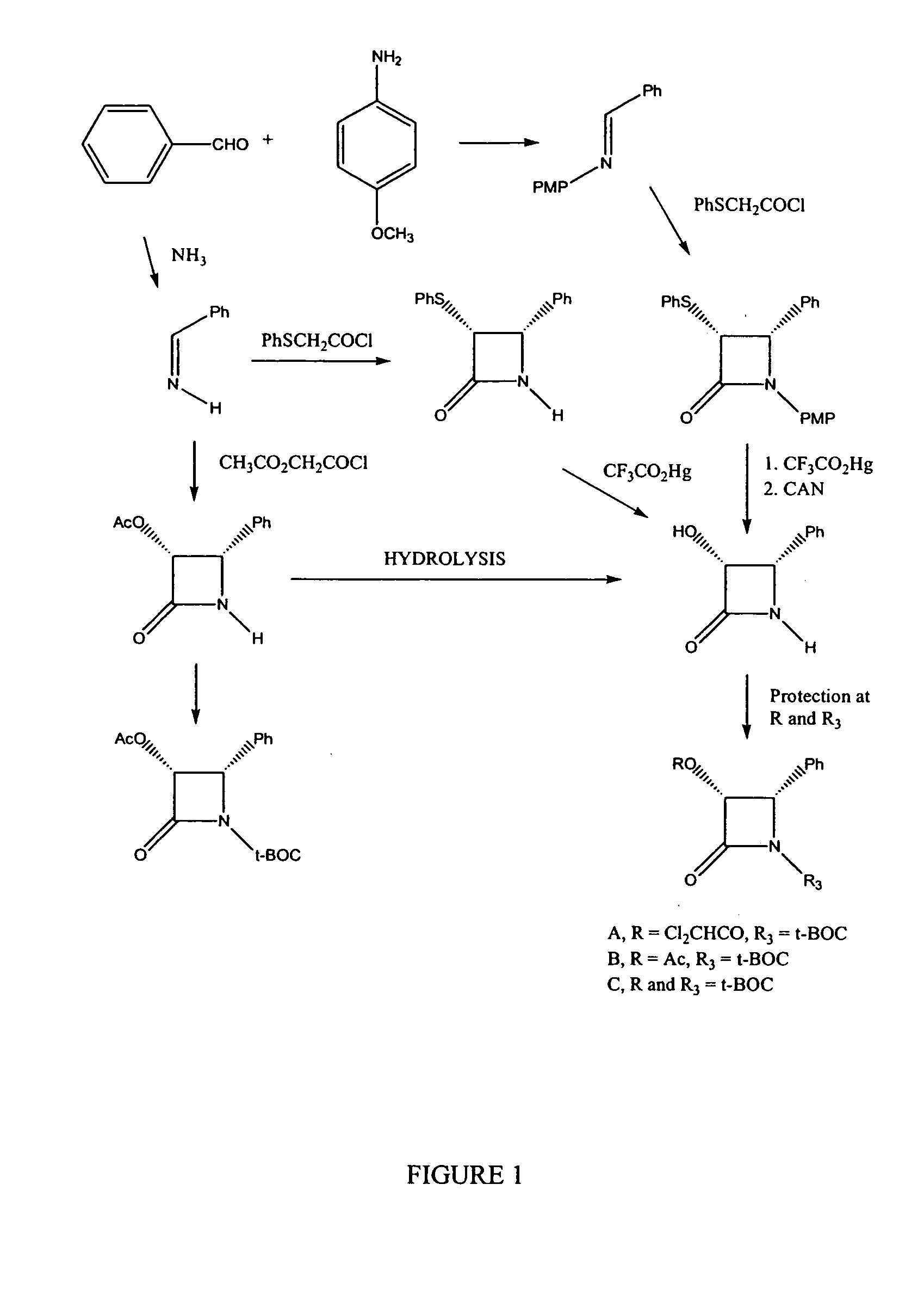Semi-synthesis of taxane intermediates and their conversion to paclitaxel and docetaxel