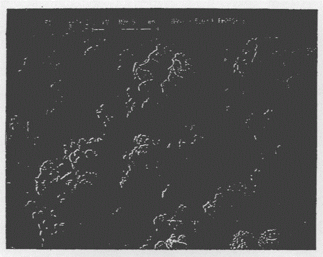 Calcium metasilicates and methods for making the same