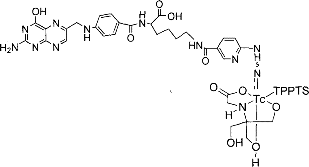 Preparation method of 99mTc labeled hydrazinonicotinamide group-pteroyllysine complex