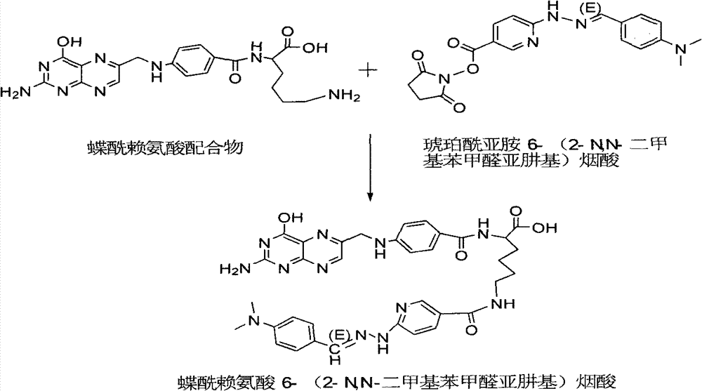 Preparation method of 99mTc labeled hydrazinonicotinamide group-pteroyllysine complex