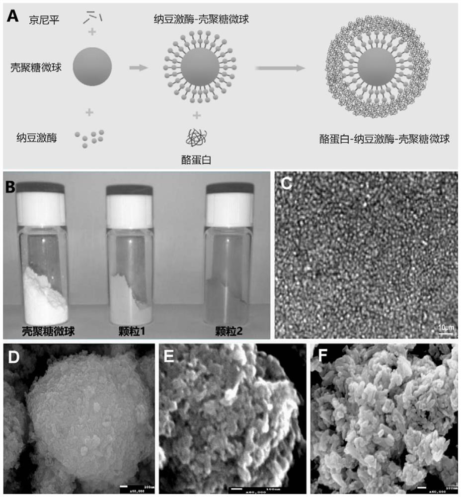 A kind of nattokinase sustained-release microspheres and preparation method thereof