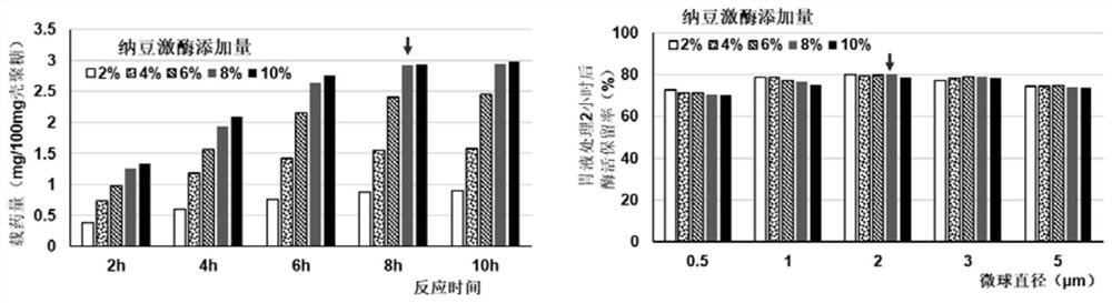 A kind of nattokinase sustained-release microspheres and preparation method thereof