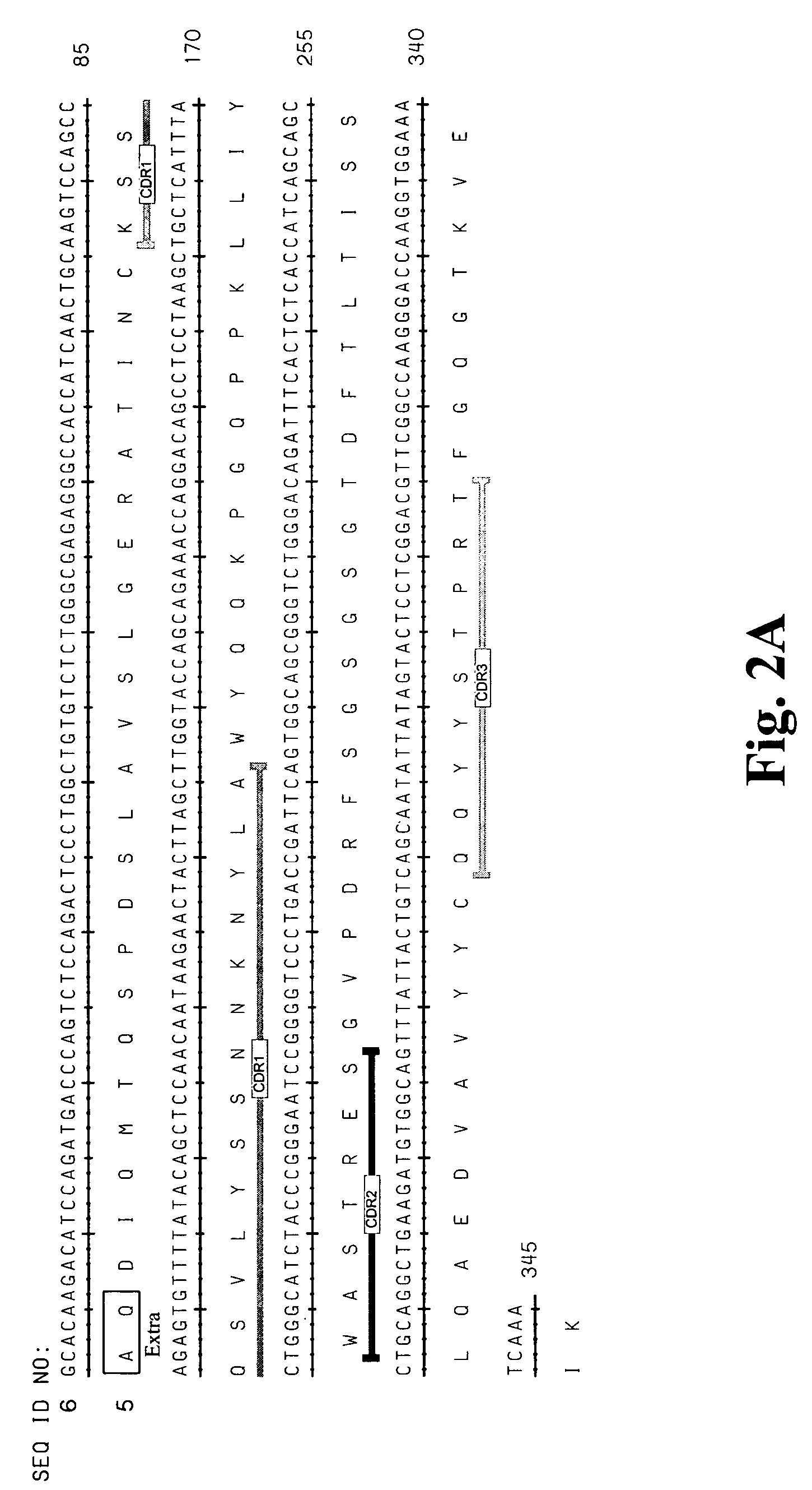 High affinity antibodies against HMGB1 and methods of use thereof