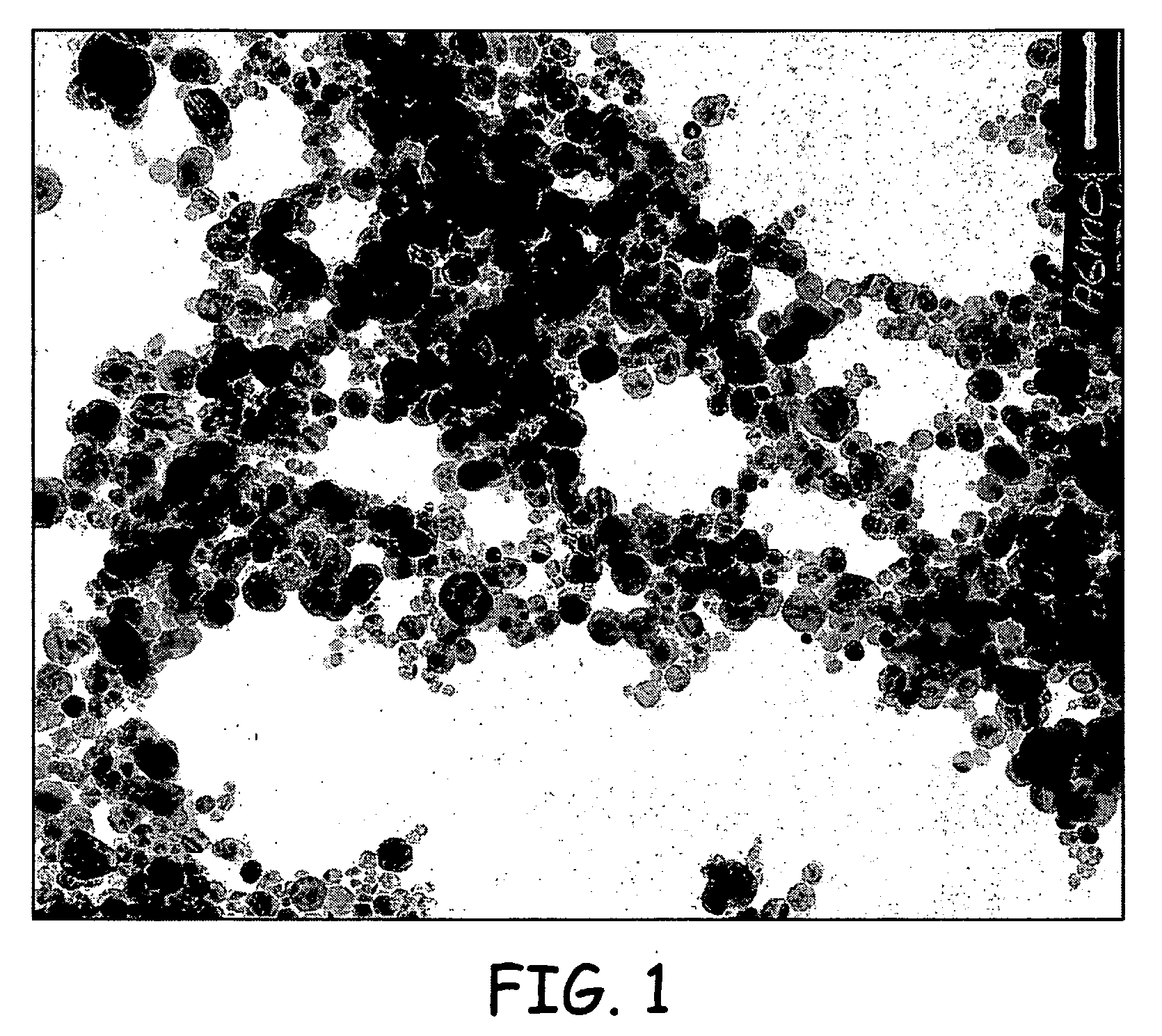 Functional composites, functional inks and applications thereof