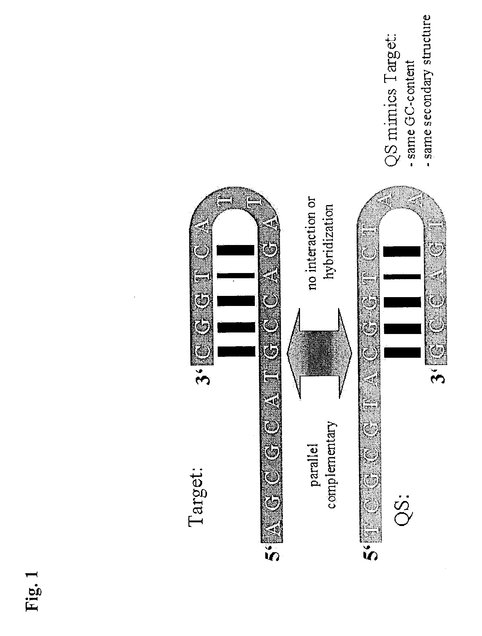 Method for the determination of a nucleic acid using a control