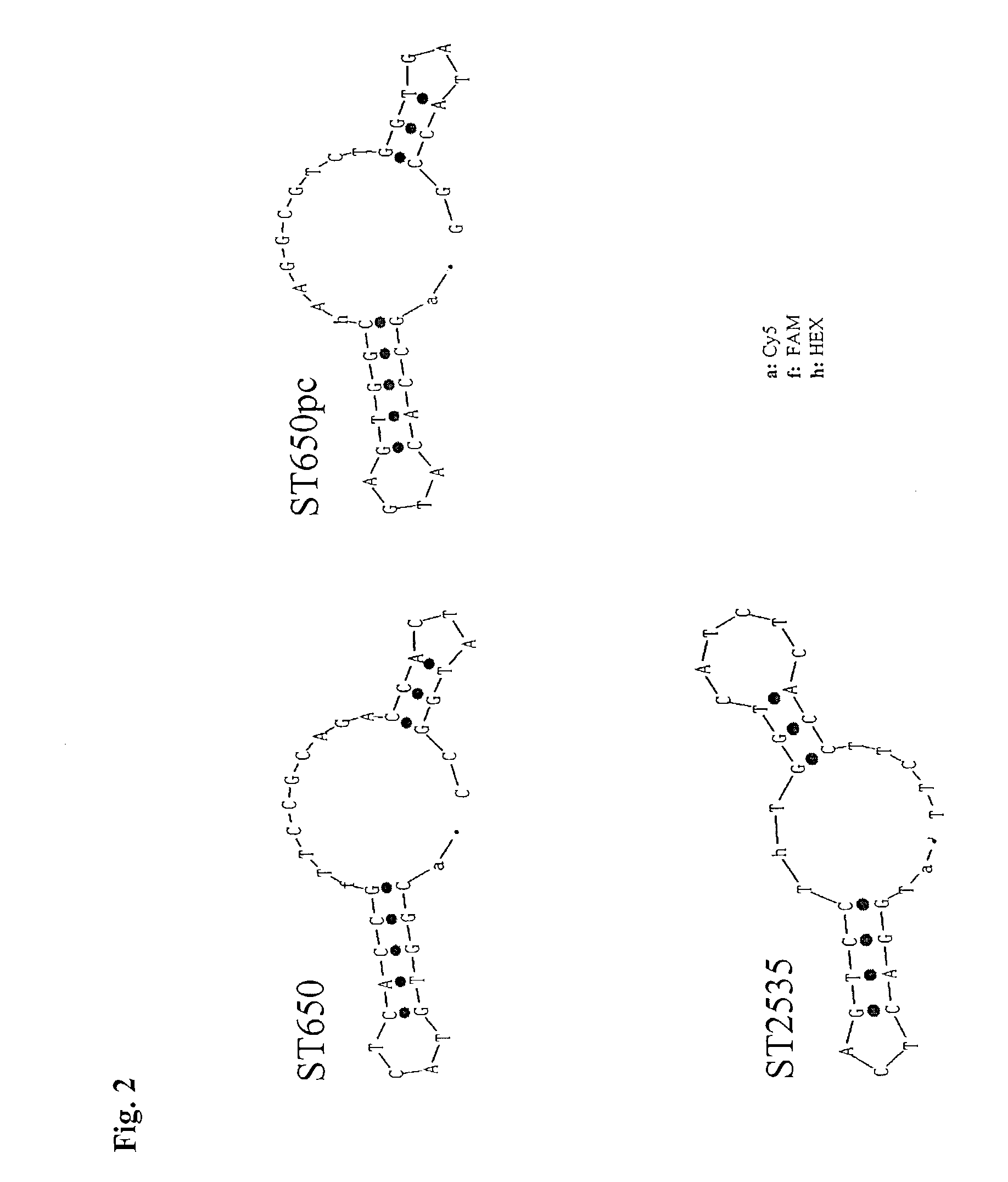 Method for the determination of a nucleic acid using a control