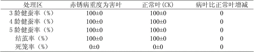 Method for detecting toxicity and safety of contaminated mulberry leaves