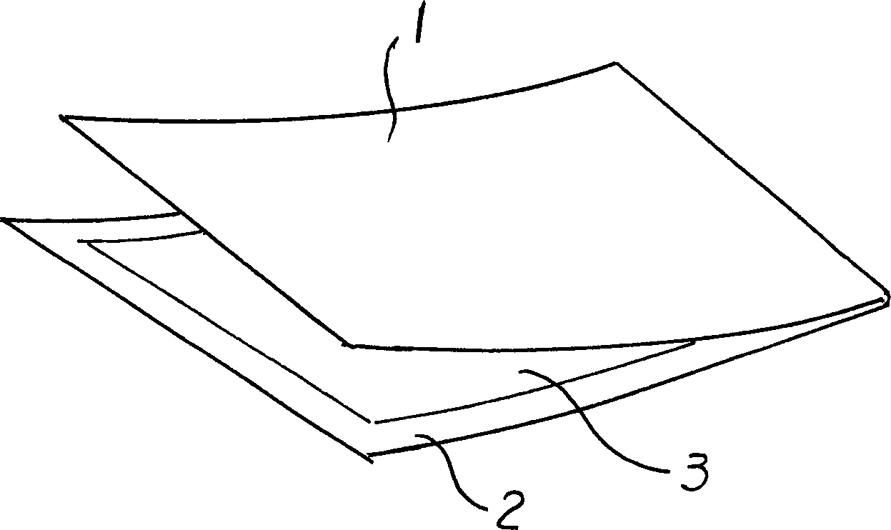 Plastic packaged page and method for making same