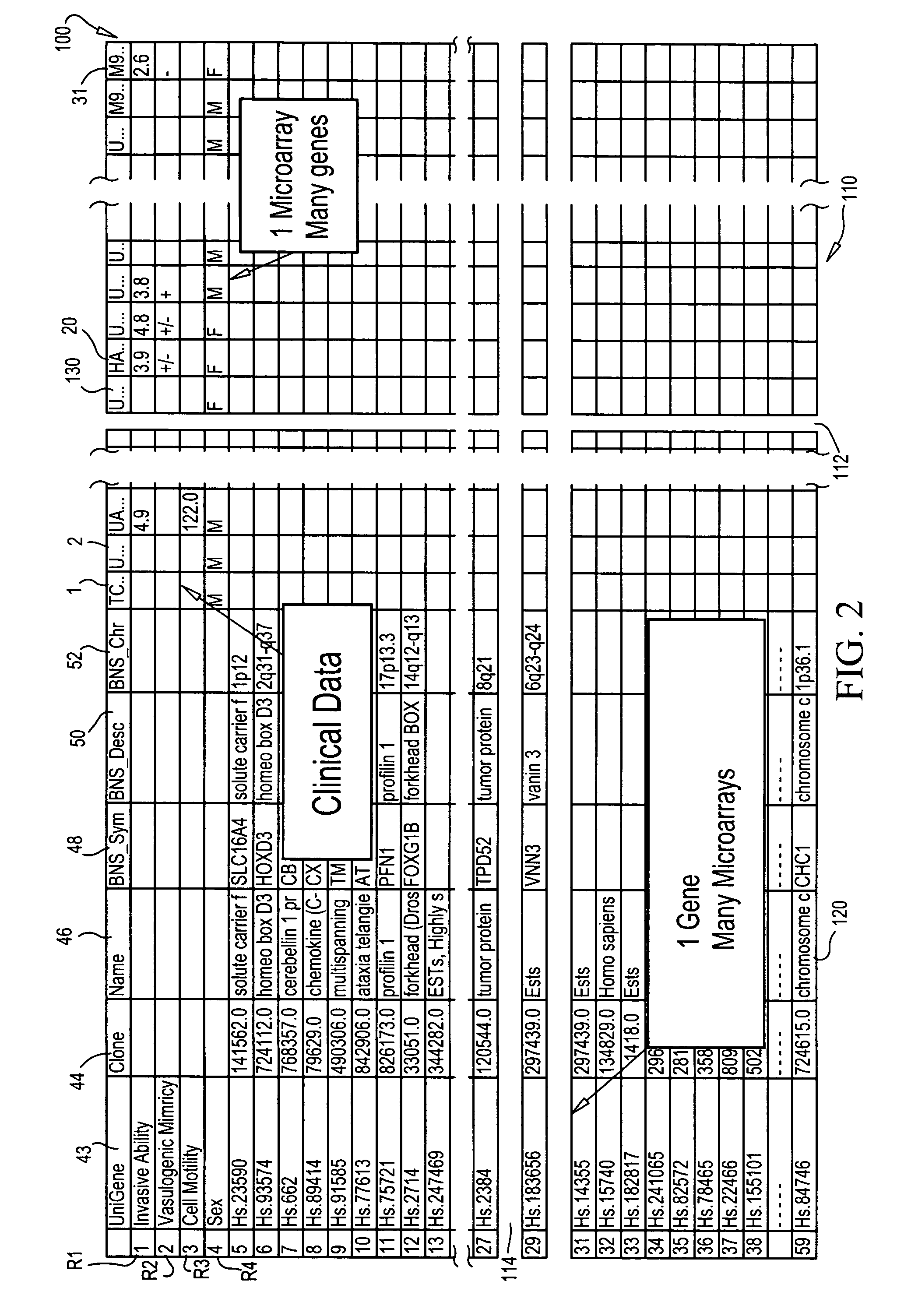 Methods and system for simultaneous visualization and manipulation of multiple data types