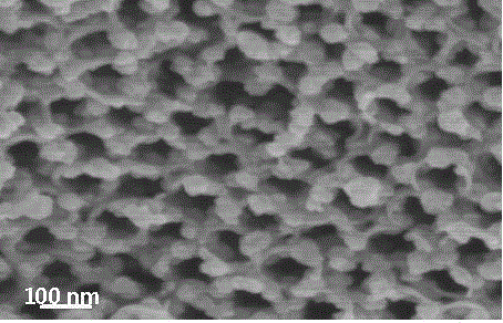 A preparation method of photoelectric aptasensor for detecting 17β-estradiol