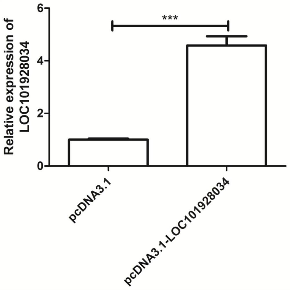 A drug for treating acute myocardial infarction