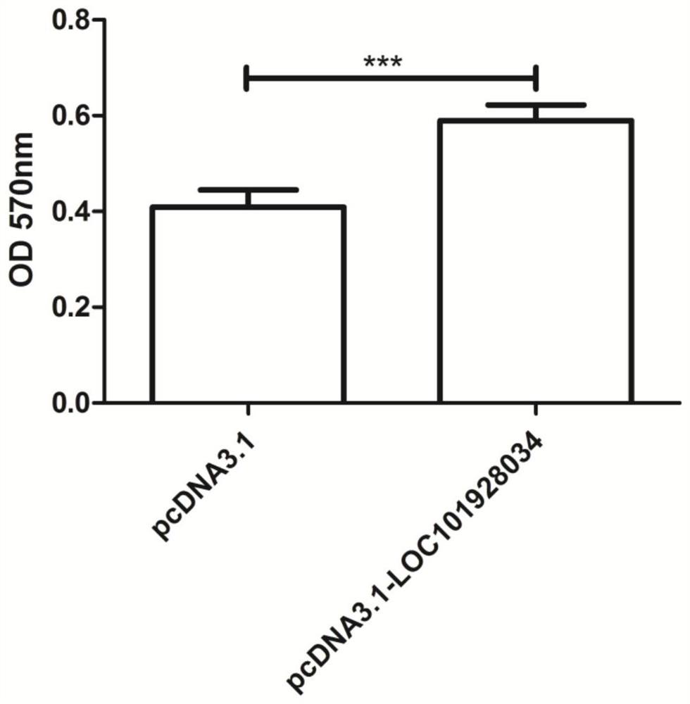 A drug for treating acute myocardial infarction