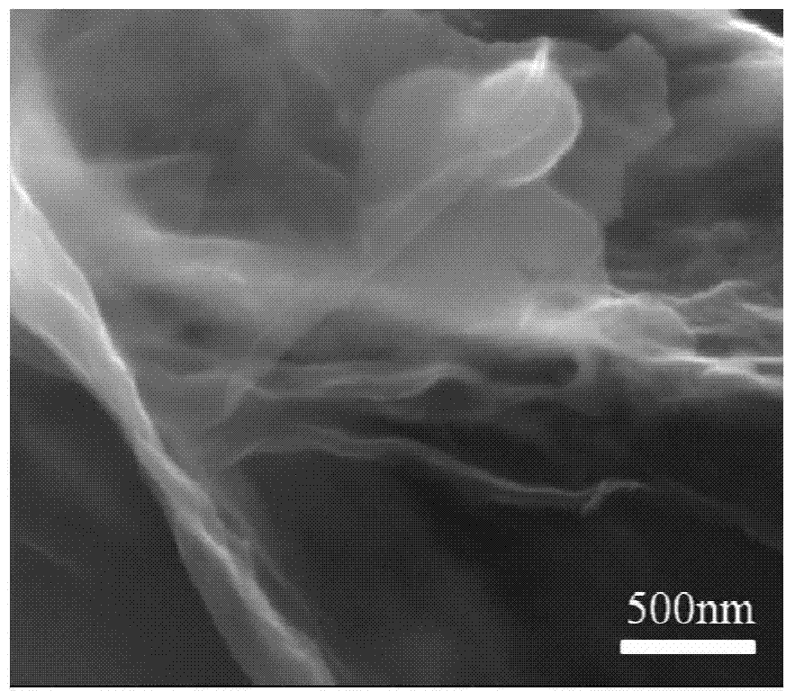 Method for preparing porous graphene-like material from water hyacinth