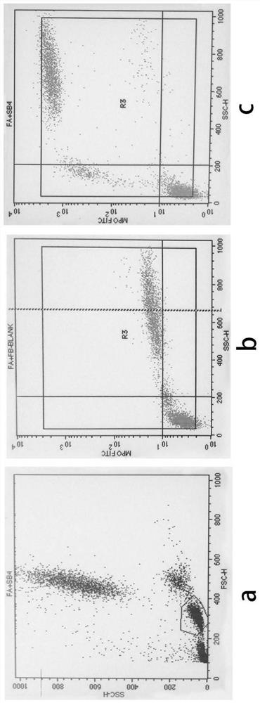 Reagent for permeating and immobilizing blood cells and an analysis method