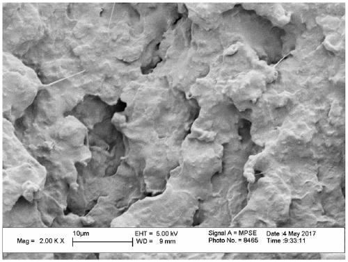 A polylactic acid/tianjia rubber composite material with balanced rigidity and toughness and its preparation method