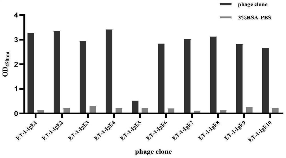 IgE binding epitope of main allergen alpha-lactalbumin of cow milk whey