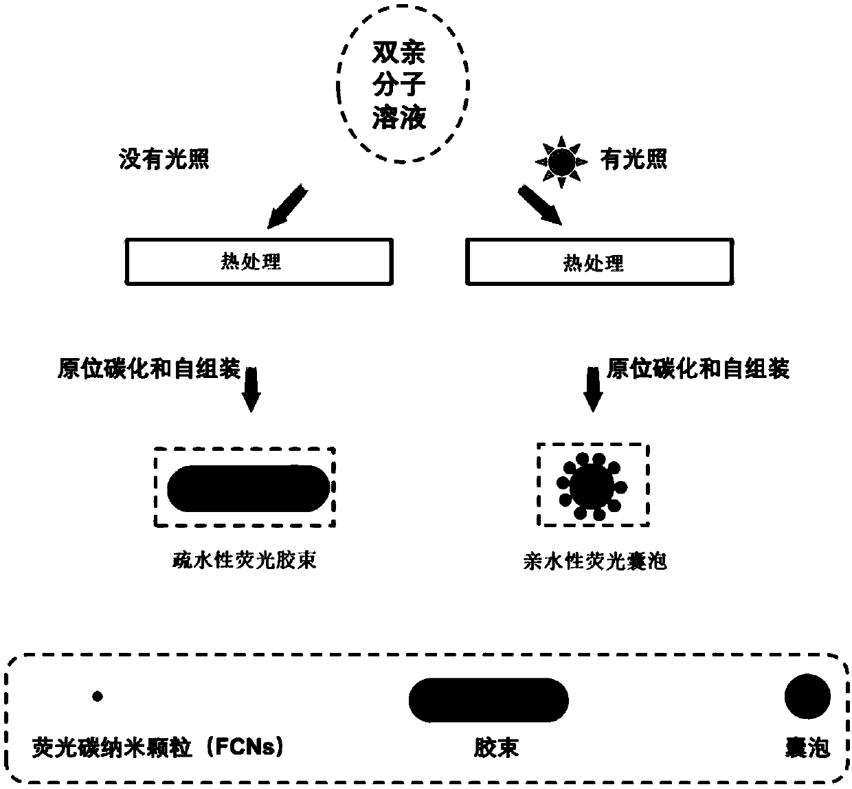 Preparation method for hydrophilicity-hydrophobicity controllable fluorescence probe and application thereof