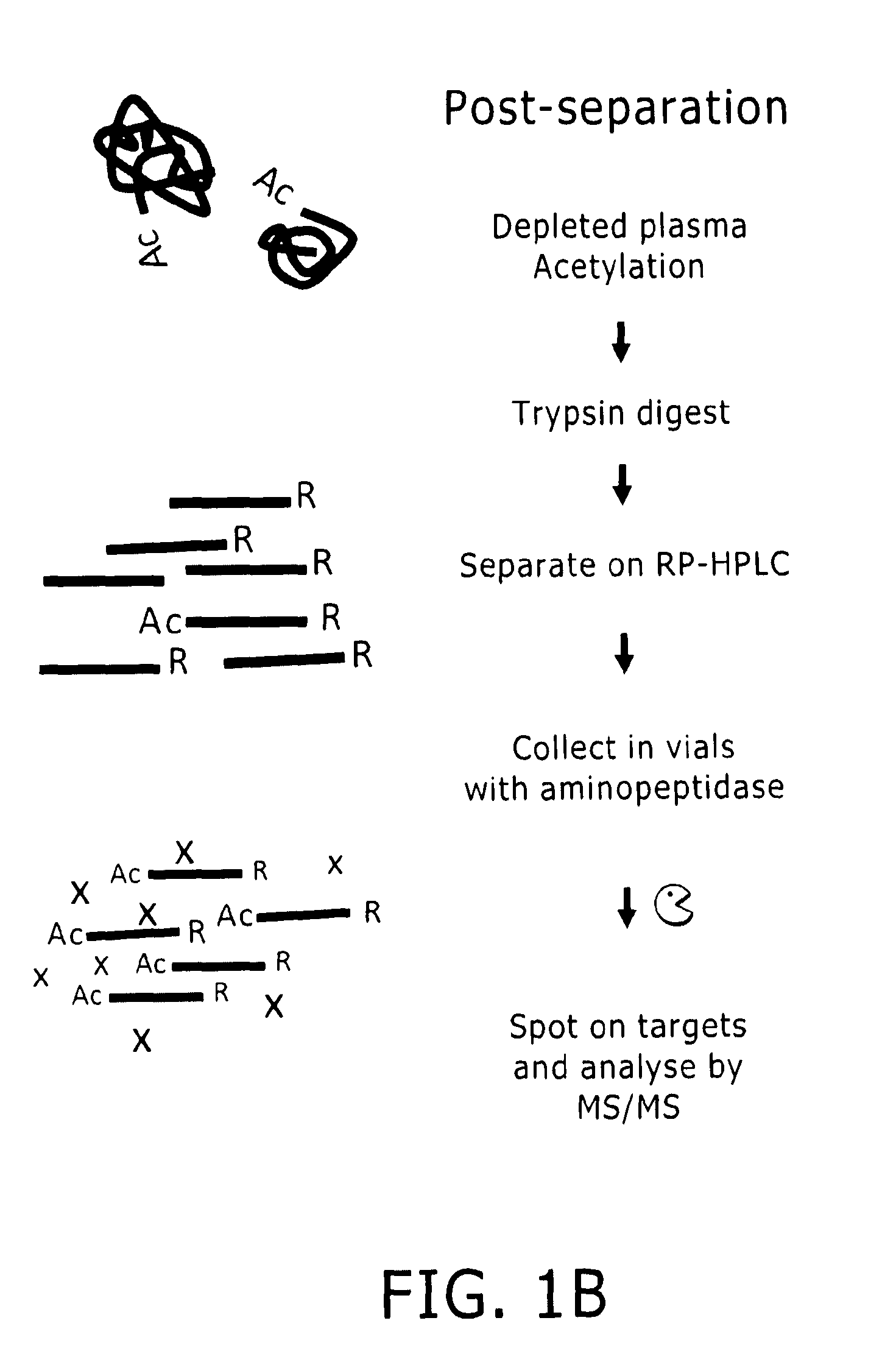 Preparation of samples for proteome analysis