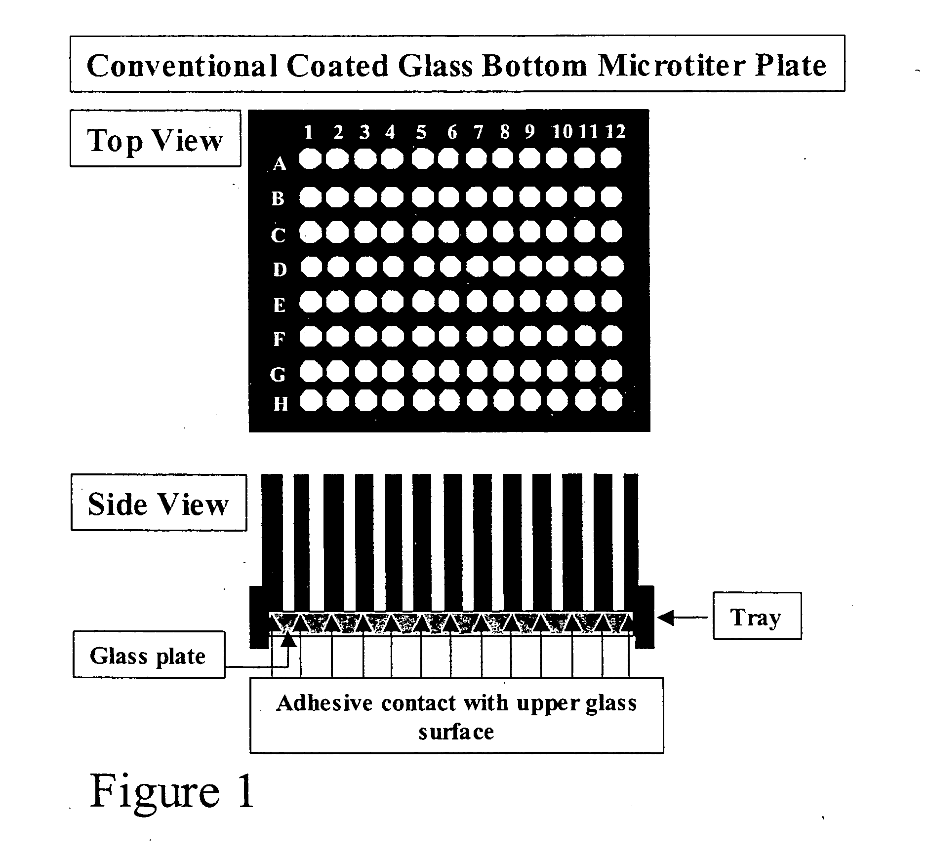 Apparatus with microtiter plate format for multiplexed arraying
