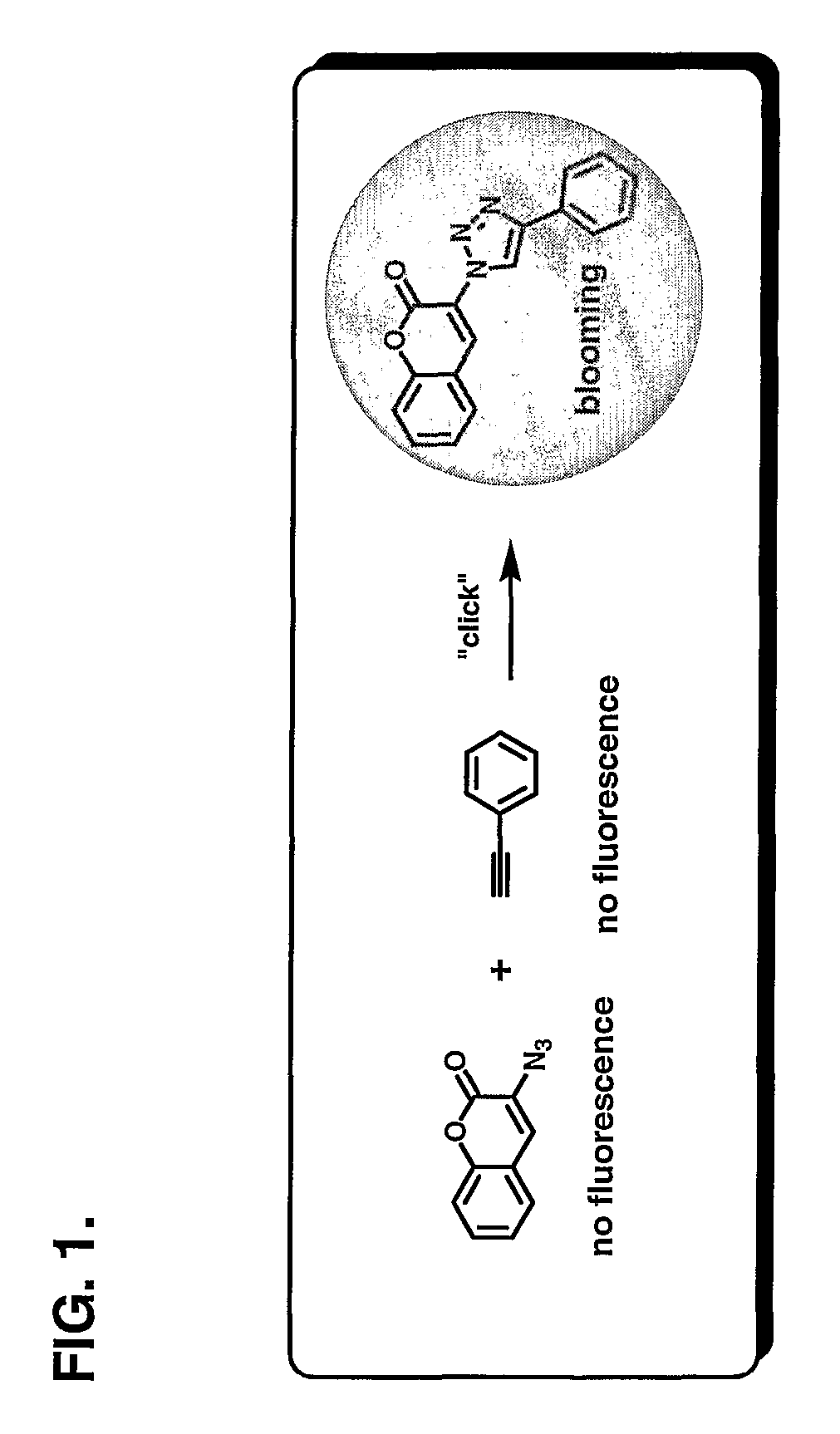 Chemoselective fluorgenic molecular linkers and methods for their preparation and use