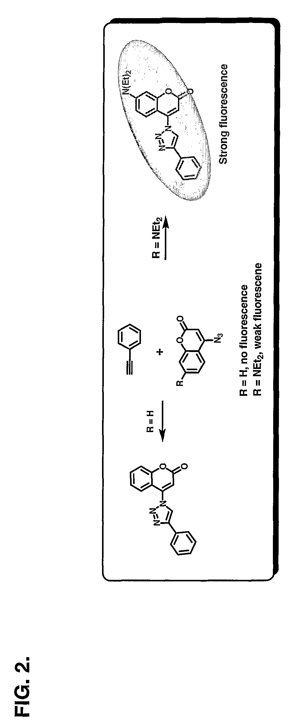 Chemoselective fluorgenic molecular linkers and methods for their preparation and use